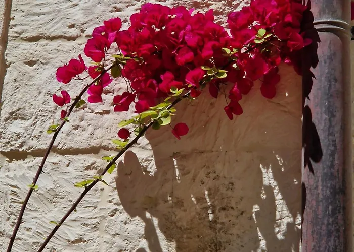 Al Centro Di Le Due Rose-con Patio Privato Lecce