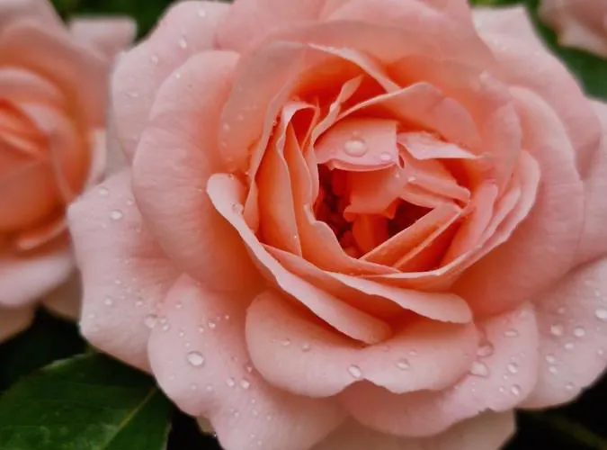 Al Centro Di Le Due Rose-con Patio Privato Appartement